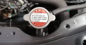 how-to-check-your-vehicles-fluid-levels-social-sharing-image